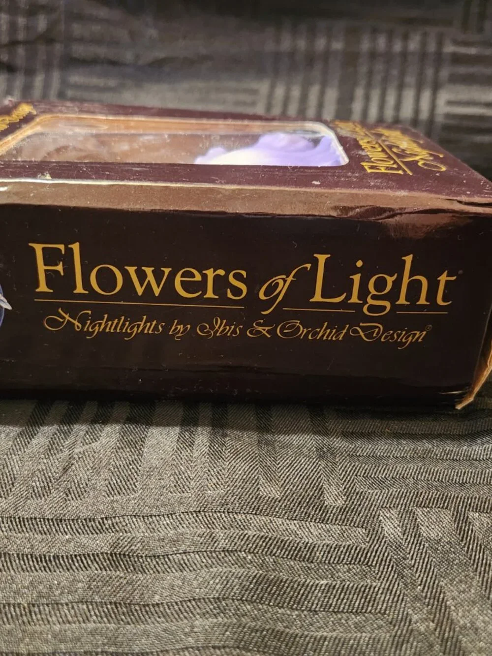 Ibis & Orchid Design Flowers of Light Iris Nightlight Hand Painted W/ Box Works